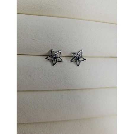 Boucles d´oreilles - 2