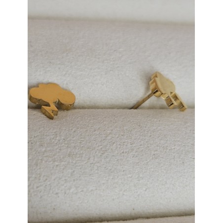 Boucles d´oreilles - 2